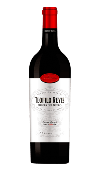TEOFILO REYES RESERVA 2021 750 ML